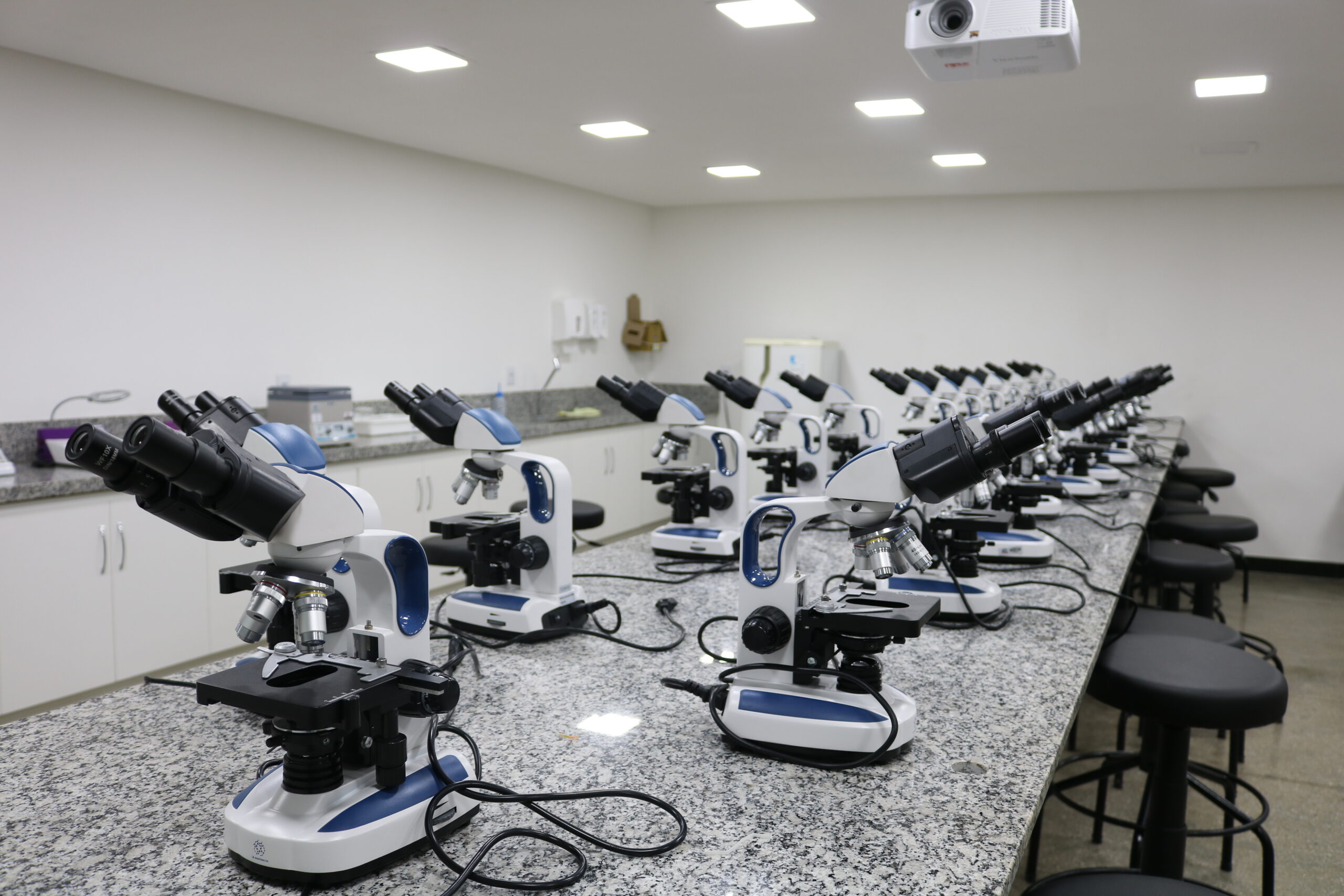 Co╠üpia de IMG_2382